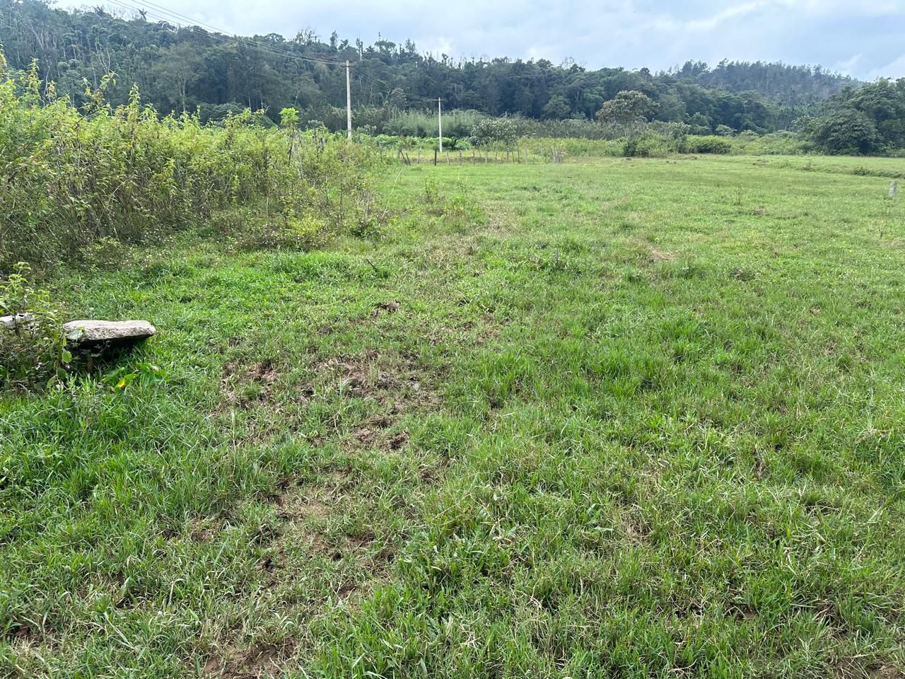 3 acre agri land for sale in Mudigere